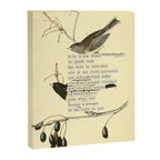 Bird Divinations: Snow Bird (about: almanacofbirds.org) Canvas Print Gallery Image 6