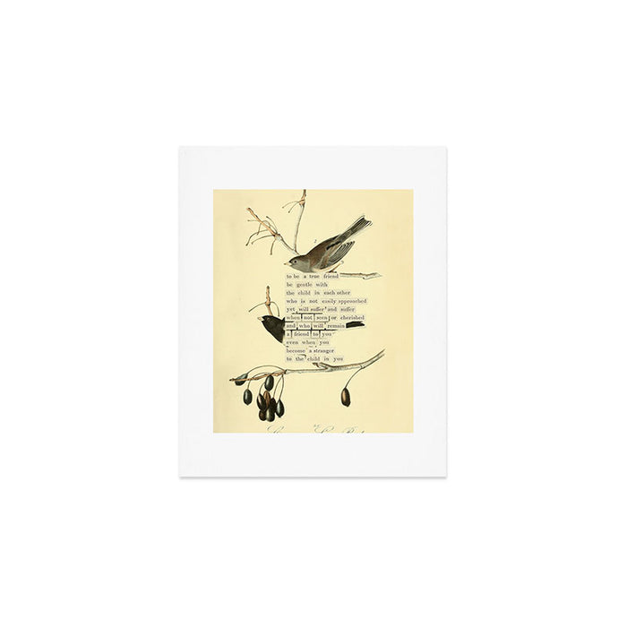 Bird Divinations: Snow Bird (about: almanacofbirds.org) Art Print Gallery Image 1