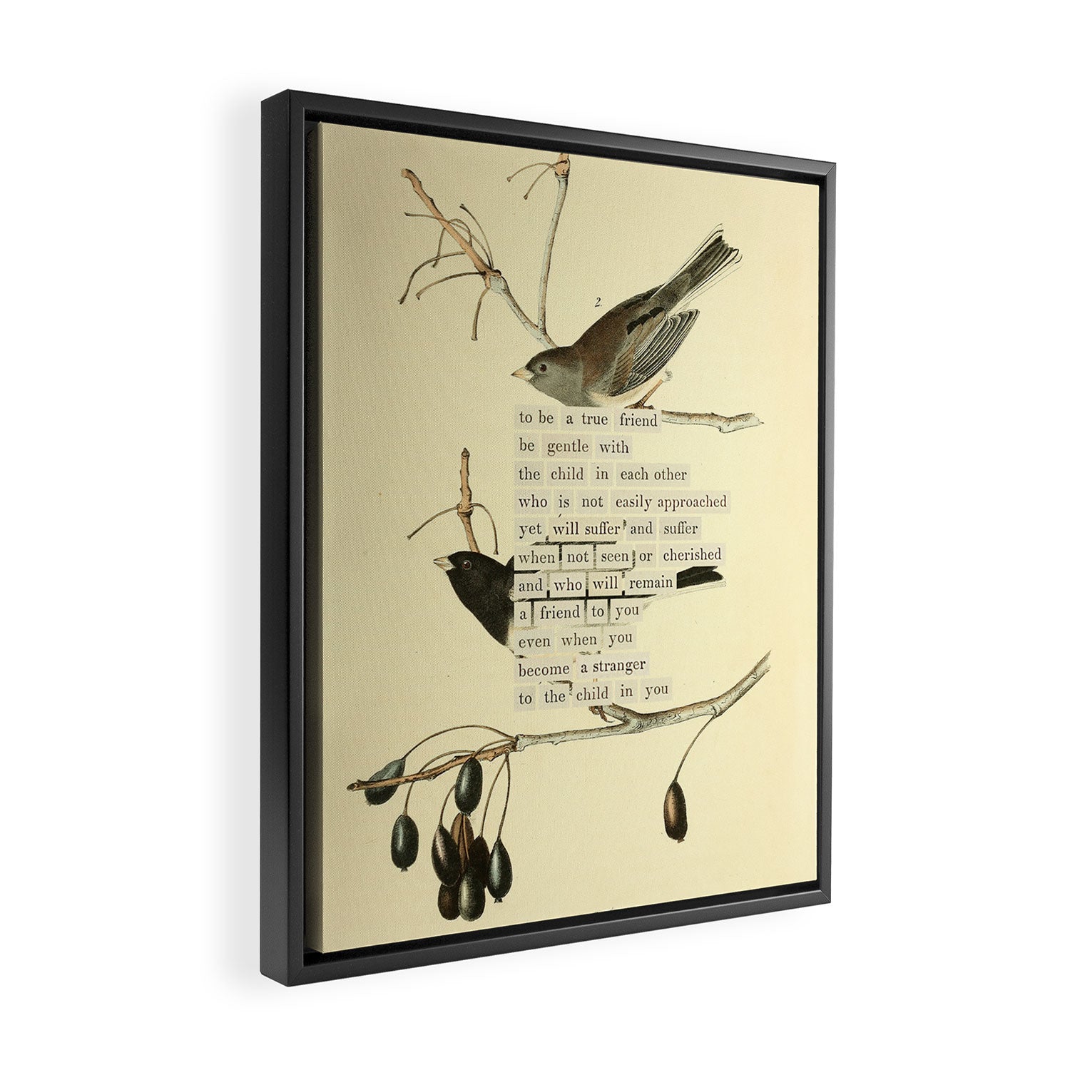 Bird Divinations: Snow Bird (about: almanacofbirds.org) Framed Canvas Print Gallery Image 2