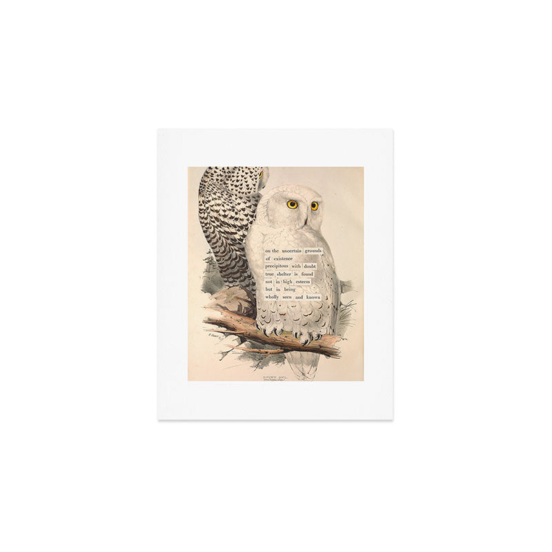 Bird Divinations: Snowy Owl (about: almanacofbirds.org) Art Print Gallery Image 1