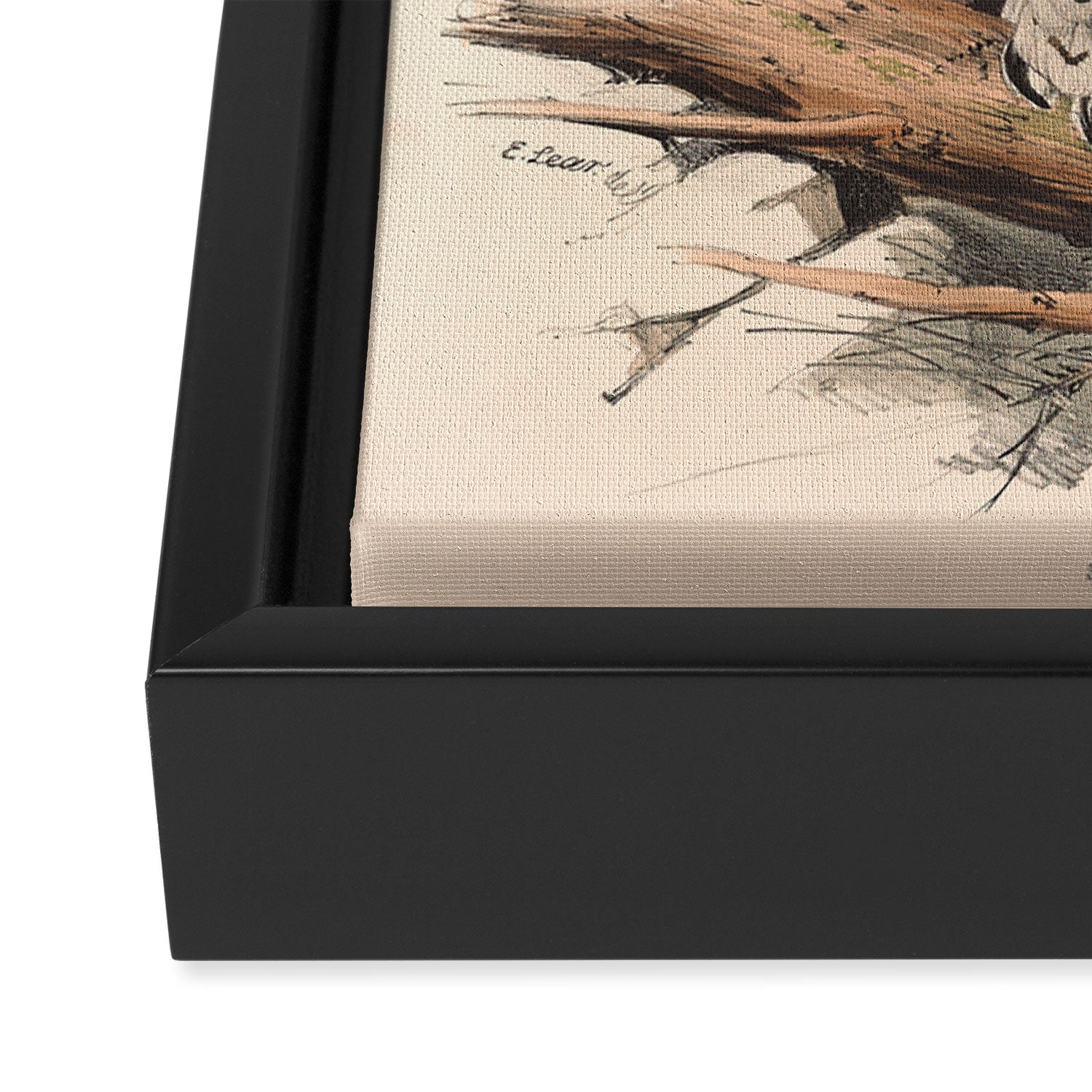 Bird Divinations: Snowy Owl (about: almanacofbirds.org) Framed Canvas Print Gallery Image 3