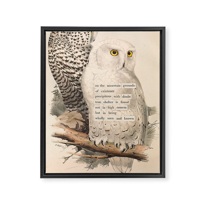 Bird Divinations: Snowy Owl (about: almanacofbirds.org) Framed Canvas Print Gallery Image 1
