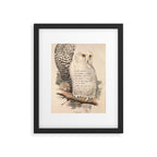 Bird Divinations: Snowy Owl (about: almanacofbirds.org) Framed Art Print Gallery Image 4