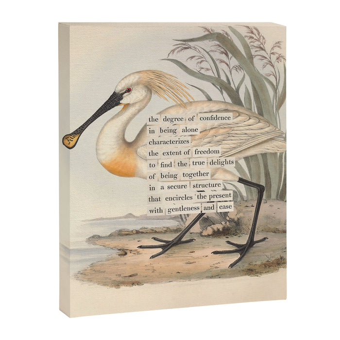 Bird Divinations: Spoonbill (about: almanacofbirds.org) Canvas Print Gallery Image 1