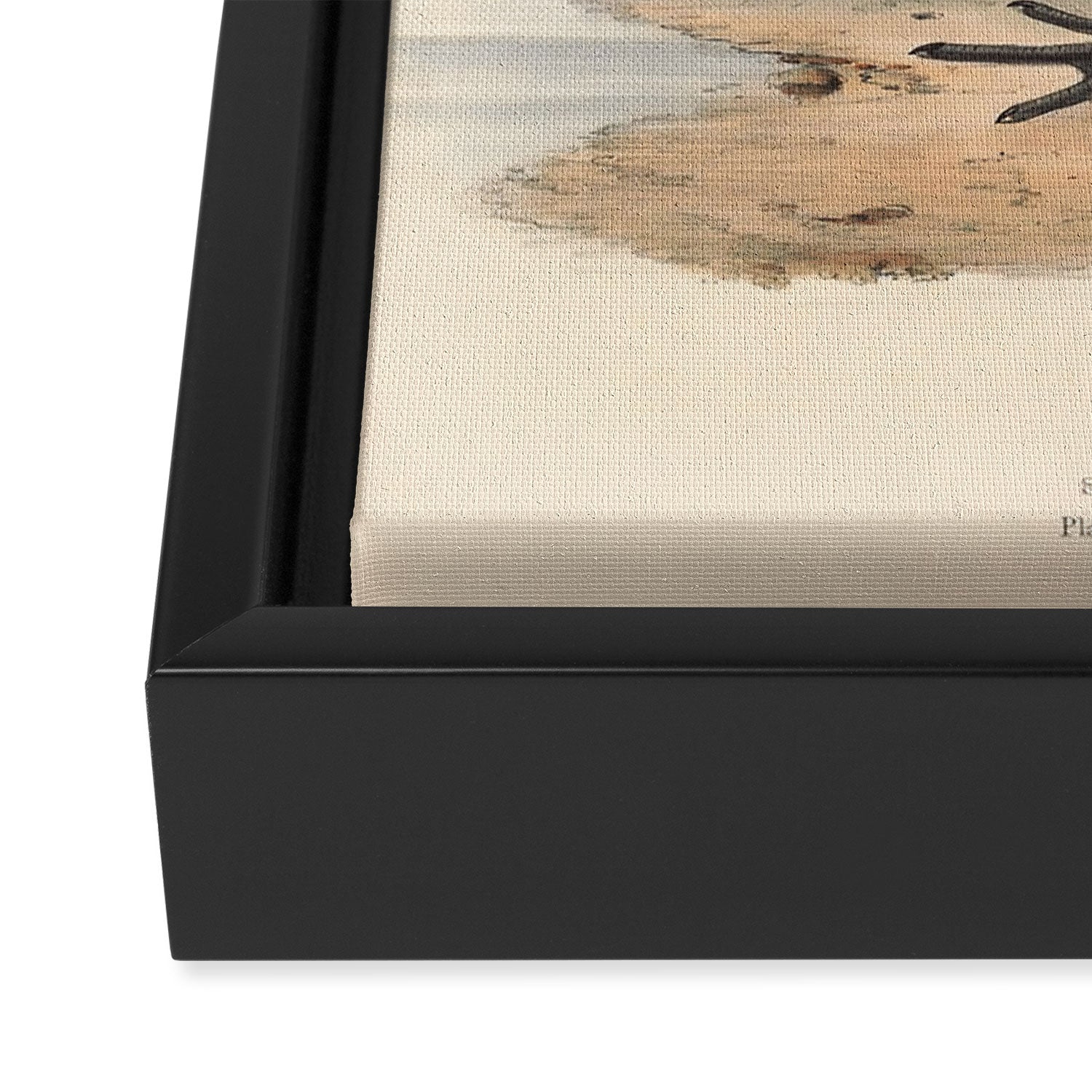 Bird Divinations: Spoonbill (about: almanacofbirds.org) Framed Canvas Print Gallery Image 3