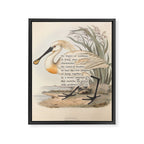 Bird Divinations: Spoonbill (about: almanacofbirds.org) Framed Canvas Print Gallery Image 6