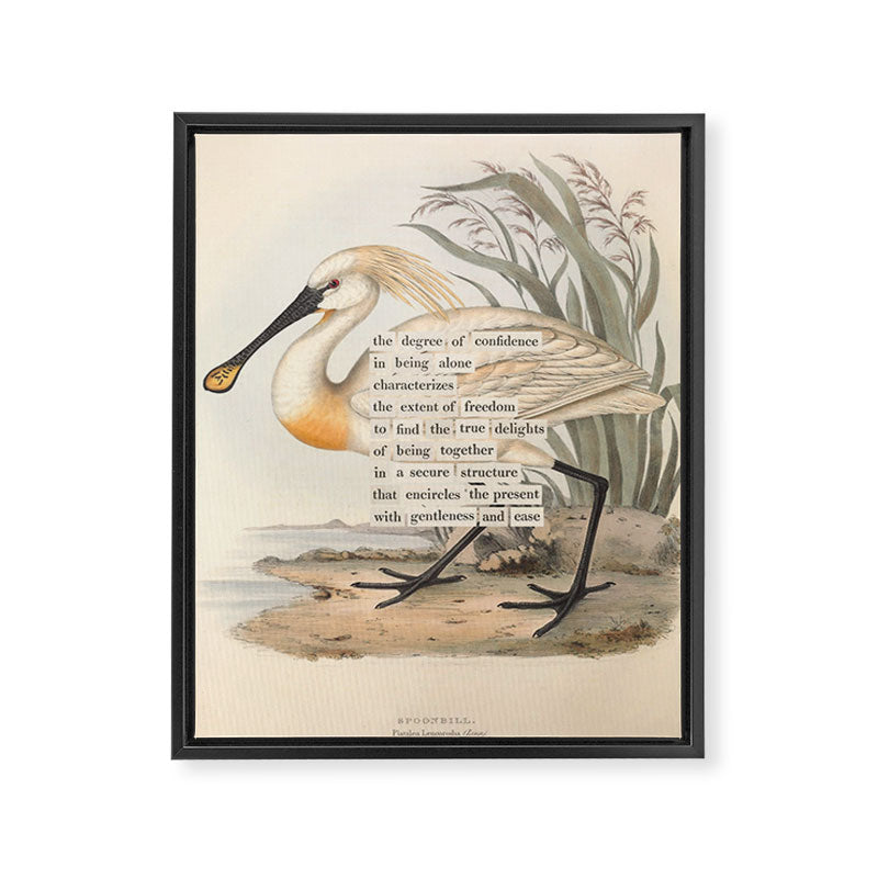 Bird Divinations: Spoonbill (about: almanacofbirds.org) Framed Canvas Print Gallery Image 6