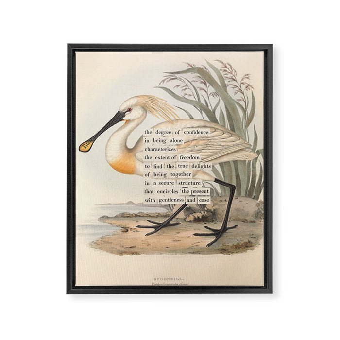 Bird Divinations: Spoonbill (about: almanacofbirds.org) Framed Canvas Print Gallery Image 1