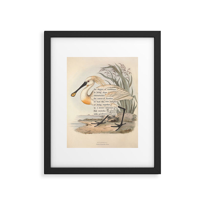 Bird Divinations: Spoonbill (about: almanacofbirds.org) Framed Art Print Gallery Image 5