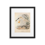 Bird Divinations: Spoonbill (about: almanacofbirds.org) Framed Art Print Gallery Image 5