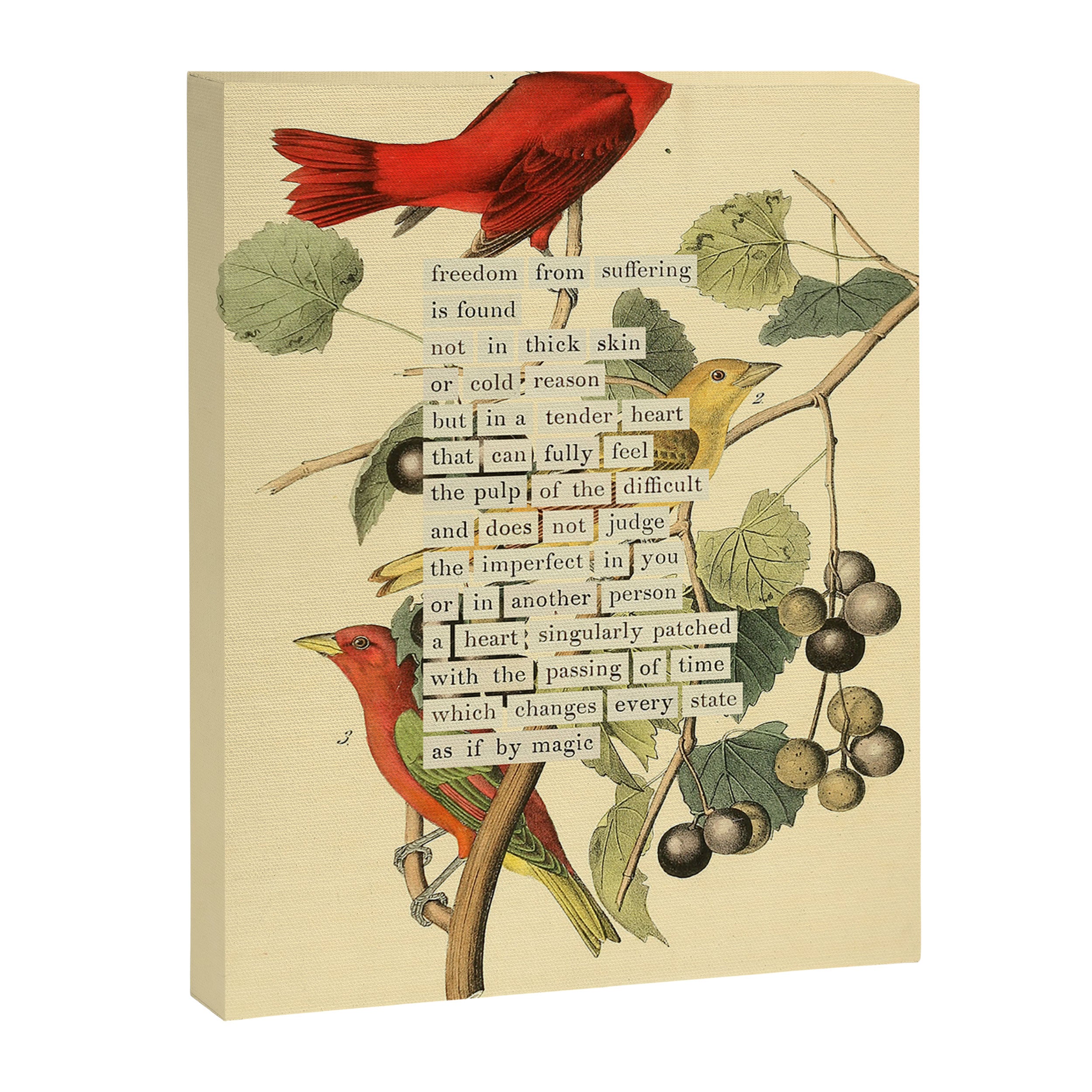 Bird Divinations: Summer Red-bird (about: almanacofbirds.org)  Canvas Print Gallery Image 6
