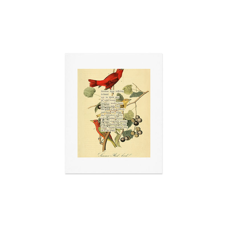 Bird Divinations: Summer Red-bird (about: almanacofbirds.org)  Art Print Gallery Image 1