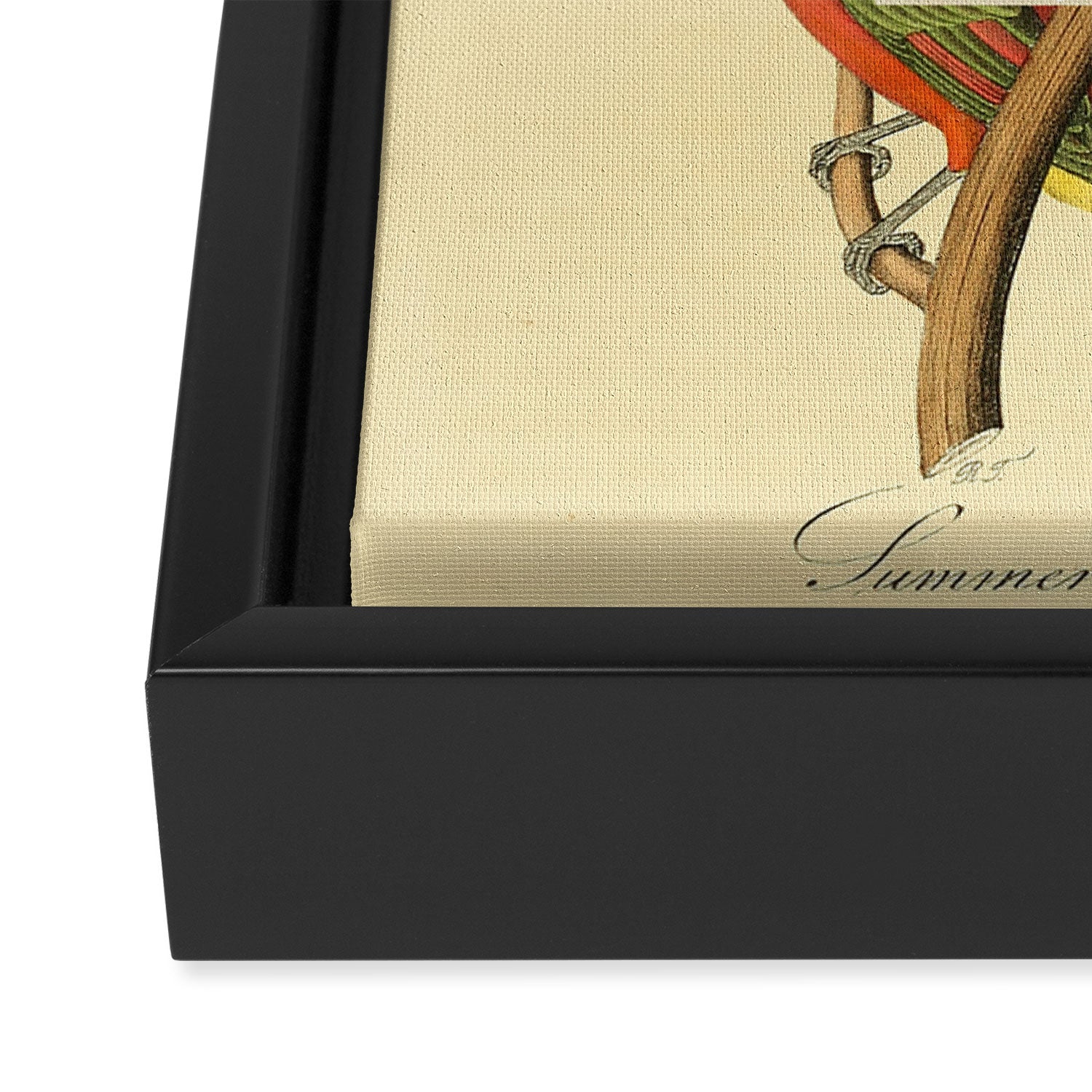Bird Divinations: Summer Red-bird (about: almanacofbirds.org)  Framed Canvas Print Gallery Image 3