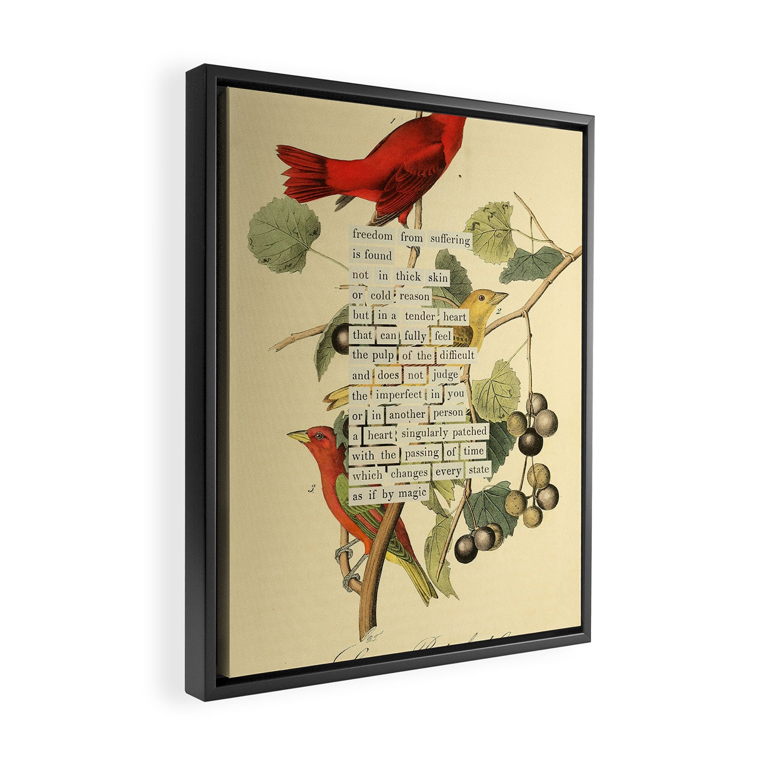 Bird Divinations: Summer Red-bird (about: almanacofbirds.org)  Framed Canvas Print Gallery Image 2