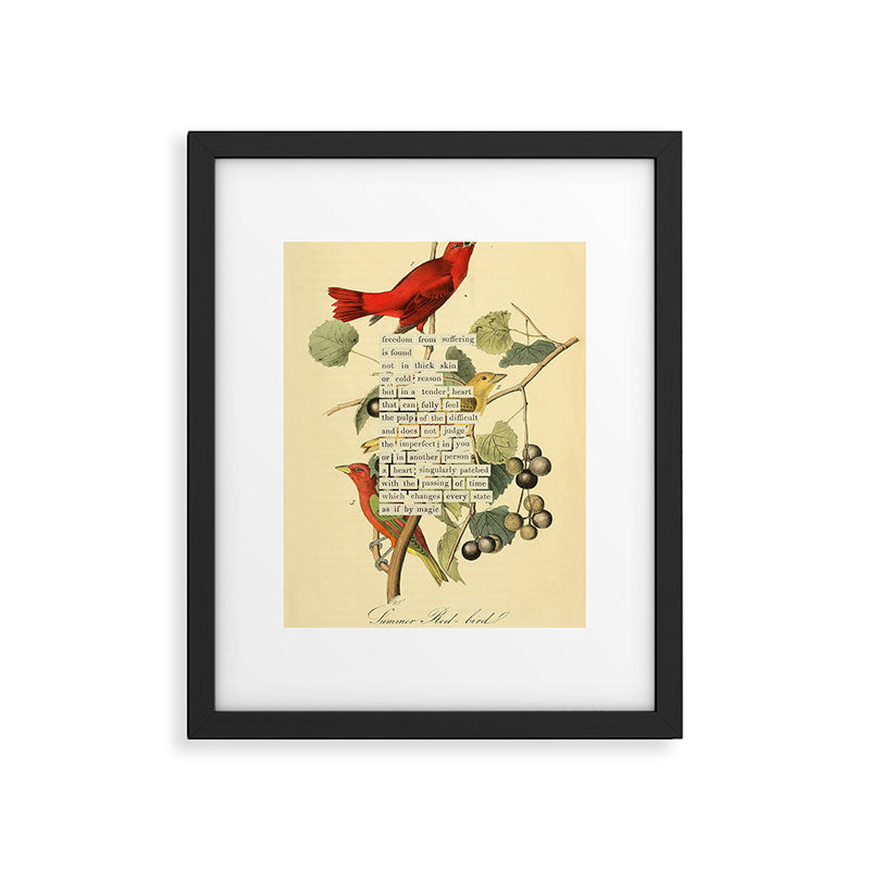 Bird Divinations: Summer Red-bird (about: almanacofbirds.org)  Framed Art Print Gallery Image 4