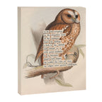 Bird Divinations: Tawny owl (about: almanacofbirds.org) Canvas Print Gallery Image 6