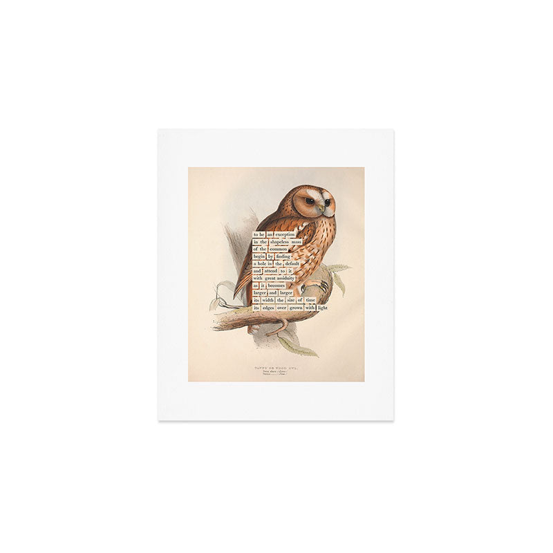 Bird Divinations: Tawny owl (about: almanacofbirds.org) Art Print Gallery Image 1