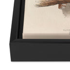 Bird Divinations: Tawny owl (about: almanacofbirds.org) Framed Canvas Print Gallery Image 3