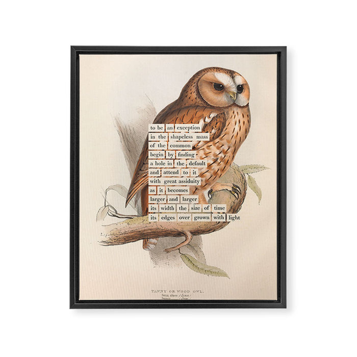 Bird Divinations: Tawny owl (about: almanacofbirds.org) Framed Canvas Print Gallery Image 1