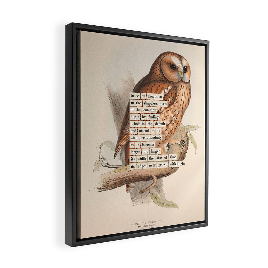 Bird Divinations: Tawny owl (about: almanacofbirds.org) Framed Canvas Print Gallery Image 2