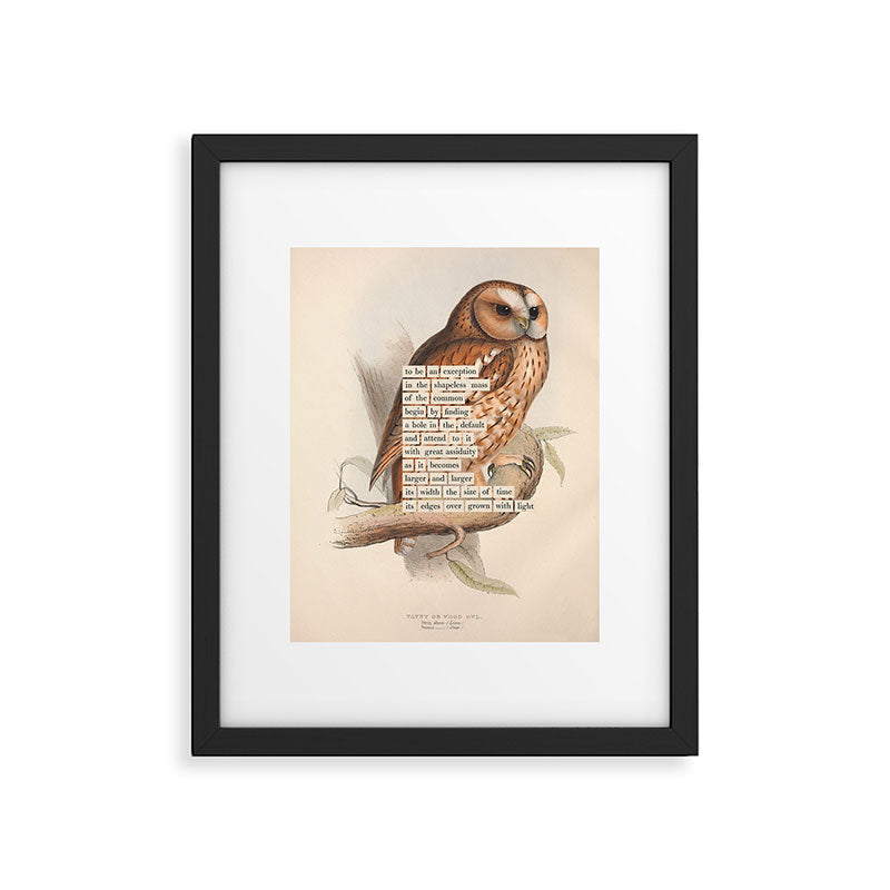 Bird Divinations: Tawny owl (about: almanacofbirds.org) Framed Art Print Gallery Image 4