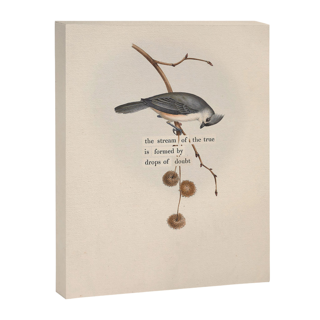 Bird Divinations: Toupet Tit (about: almanacofbirds.org) Canvas Print Gallery Image 6
