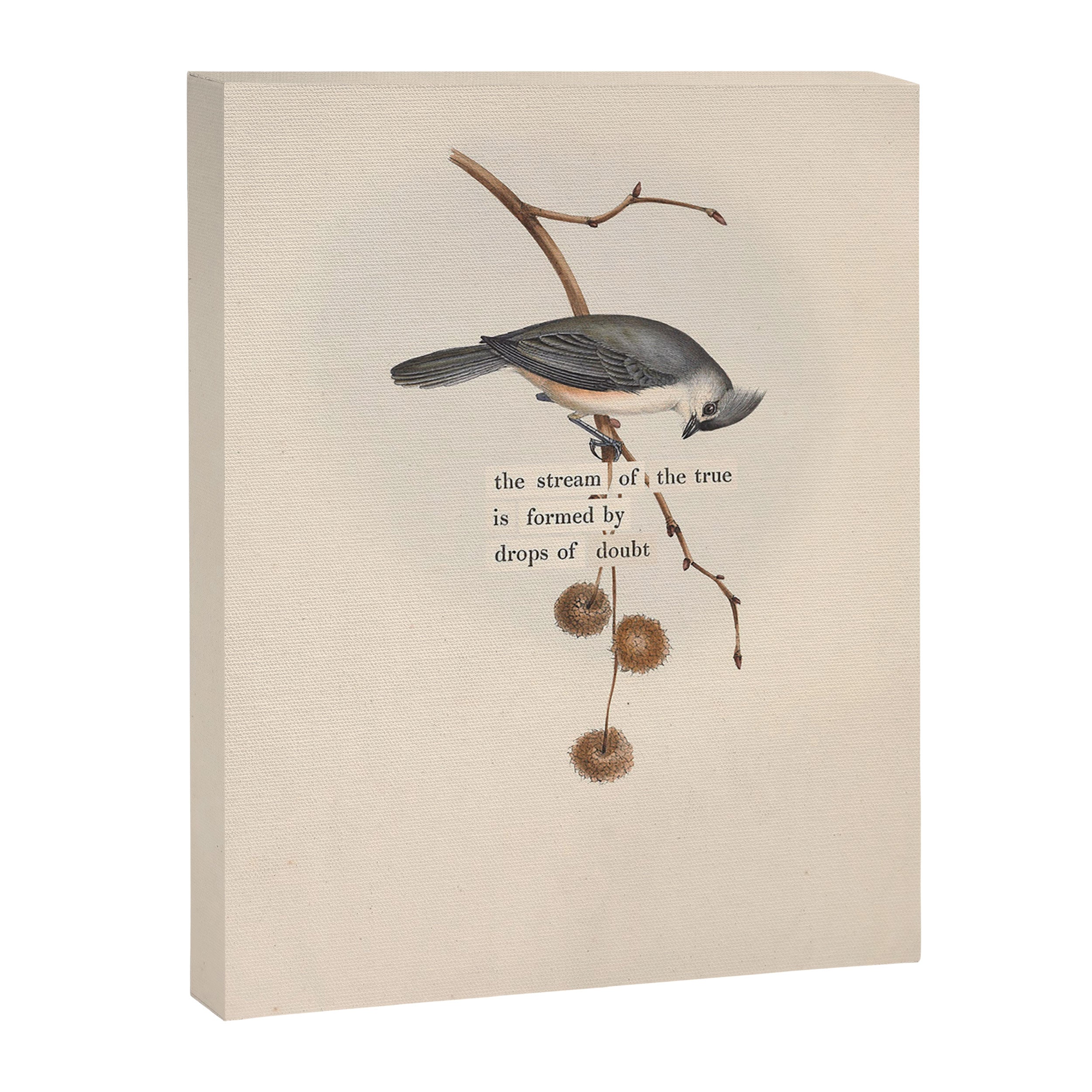 Bird Divinations: Toupet Tit (about: almanacofbirds.org) Canvas Print Gallery Image 6