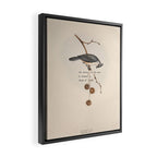 Bird Divinations: Toupet Tit (about: almanacofbirds.org) Framed Canvas Print Gallery Image 2