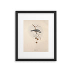 Bird Divinations: Toupet Tit (about: almanacofbirds.org) Framed Art Print Gallery Image 5