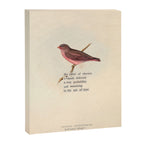 Bird Divinations: Vinous Grosbeak (about: almanacofbirds.org) Canvas Print Gallery Image 6
