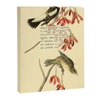 Bird Divinations: Wandering Rice Bird (about: almanacofbirds.org) Canvas Print Gallery Image 6