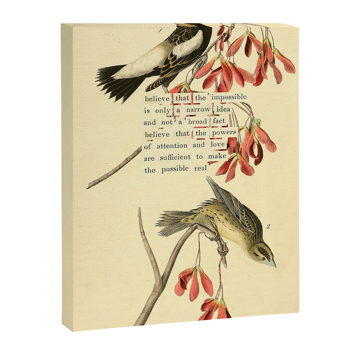 Bird Divinations: Wandering Rice Bird (about: almanacofbirds.org) Canvas Print Gallery Image 1