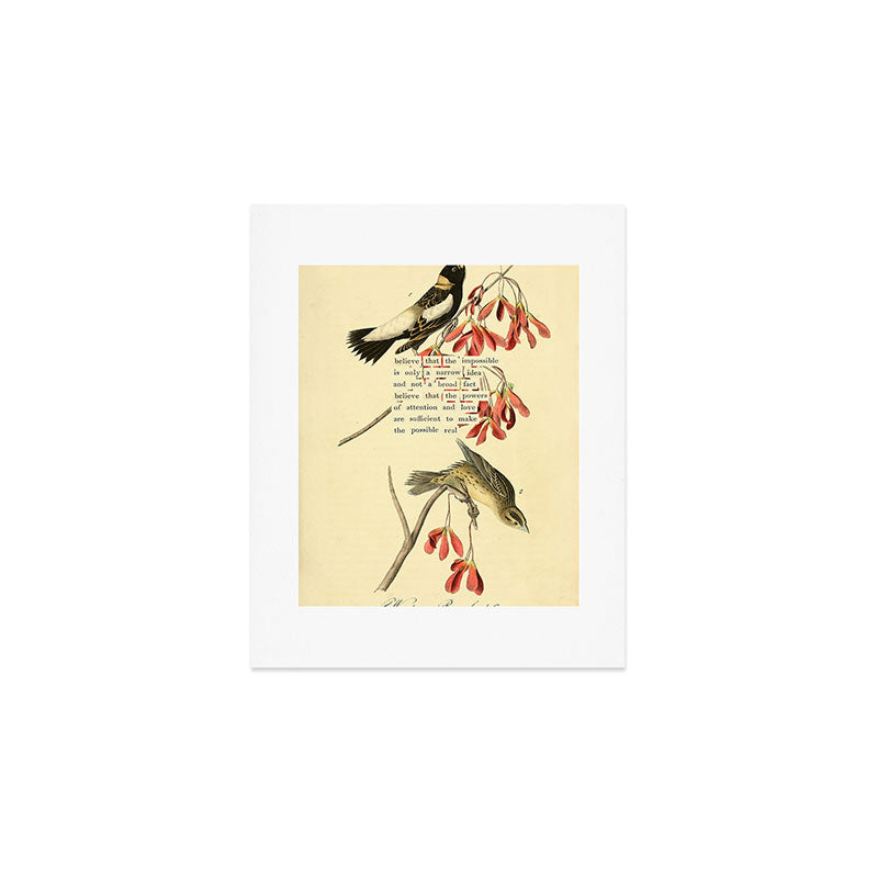 Bird Divinations: Wandering Rice Bird (about: almanacofbirds.org) Art Print Gallery Image 1