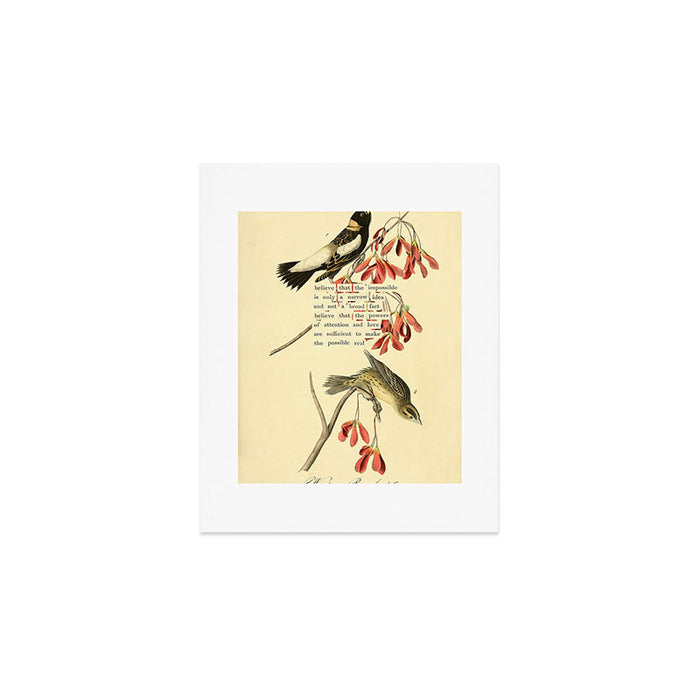Bird Divinations: Wandering Rice Bird (about: almanacofbirds.org) Art Print Gallery Image 1