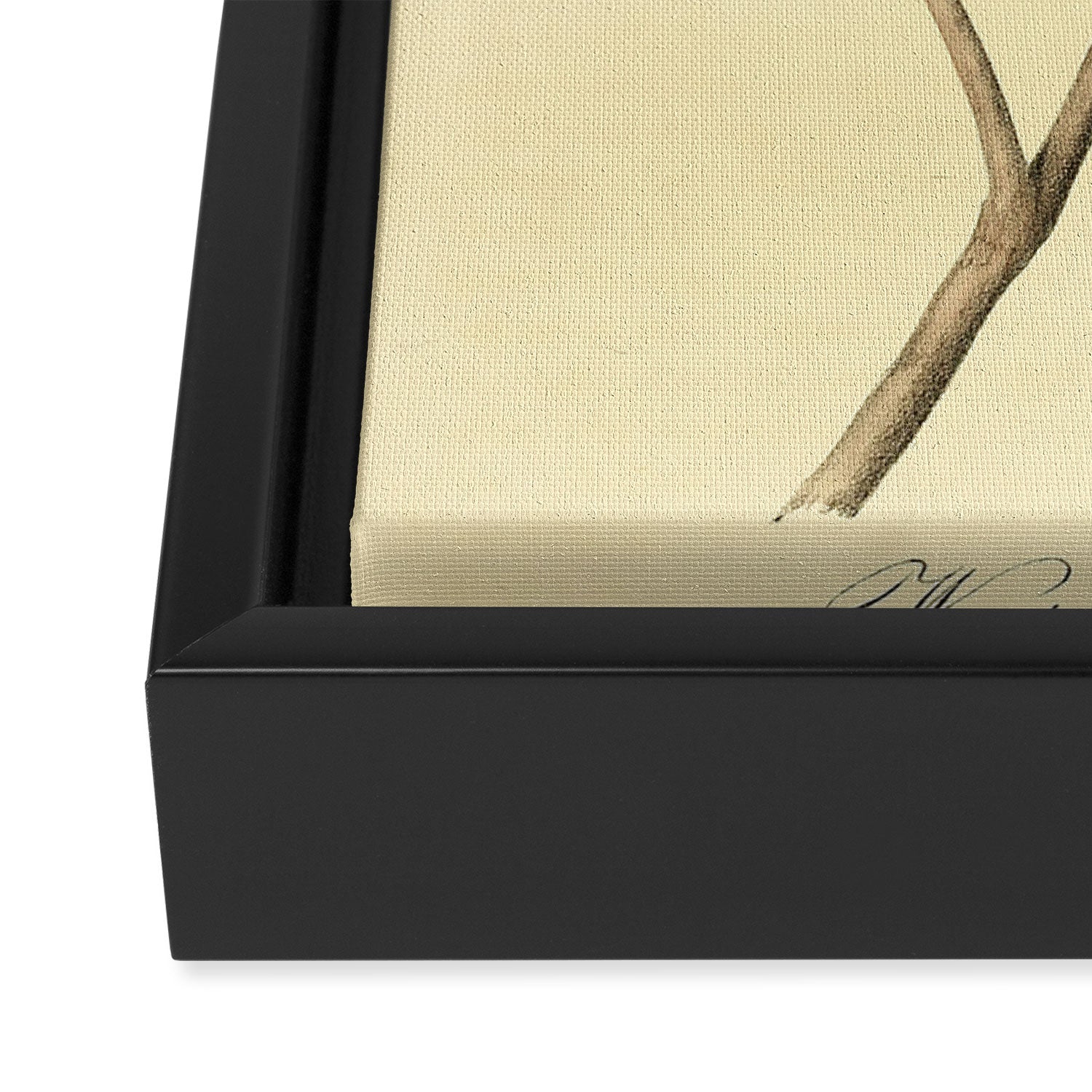 Bird Divinations: Wandering Rice Bird (about: almanacofbirds.org) Framed Canvas Print Gallery Image 3