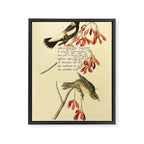 Bird Divinations: Wandering Rice Bird (about: almanacofbirds.org) Framed Canvas Print Gallery Image 6