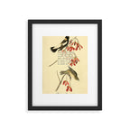 Bird Divinations: Wandering Rice Bird (about: almanacofbirds.org) Framed Art Print Gallery Image 4