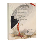 Bird Divinations: White Stork (about: almanacofbirds.org) Canvas Print Gallery Image 6