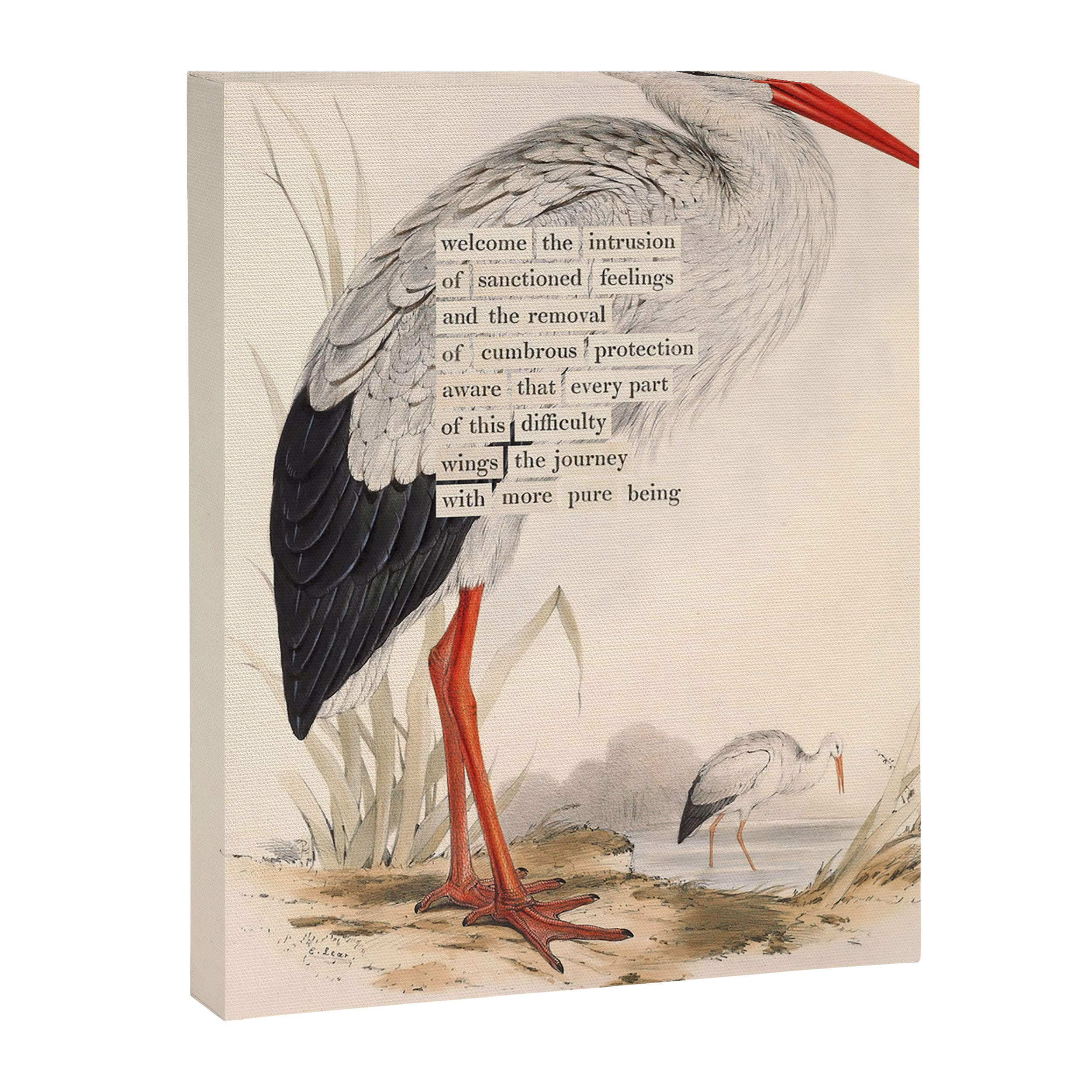 Bird Divinations: White Stork (about: almanacofbirds.org) Canvas Print Gallery Image 6