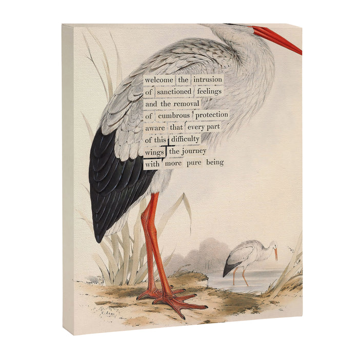 Bird Divinations: White Stork (about: almanacofbirds.org) Canvas Print Gallery Image 1
