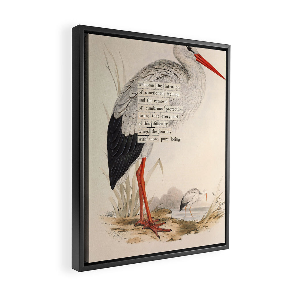 Bird Divinations: White Stork (about: almanacofbirds.org) Framed Canvas Print Gallery Image 2