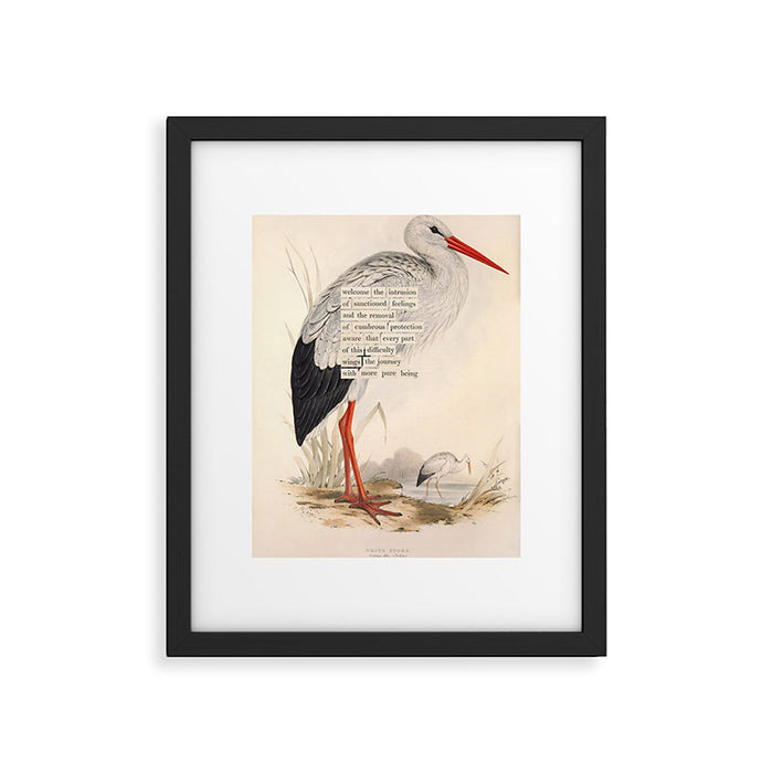 Bird Divinations: White Stork (about: almanacofbirds.org) Framed Art Print Gallery Image 1