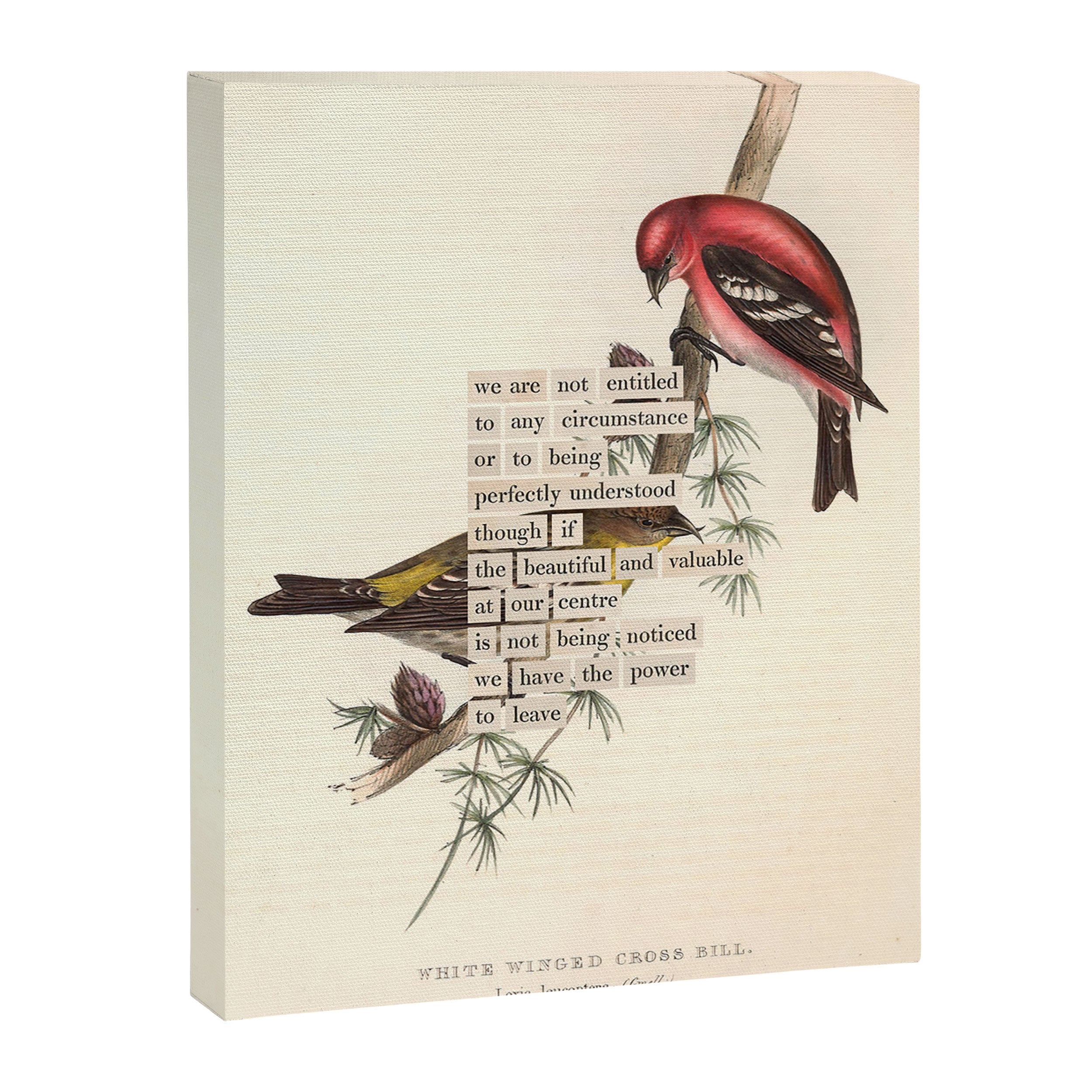 Bird Divinations: White-Winged Cross Bill (about: almanacofbirds.org) Canvas Print Gallery Image 6