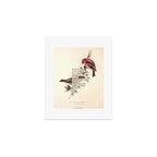 Bird Divinations: White-Winged Cross Bill (about: almanacofbirds.org) Art Print Gallery Image 1