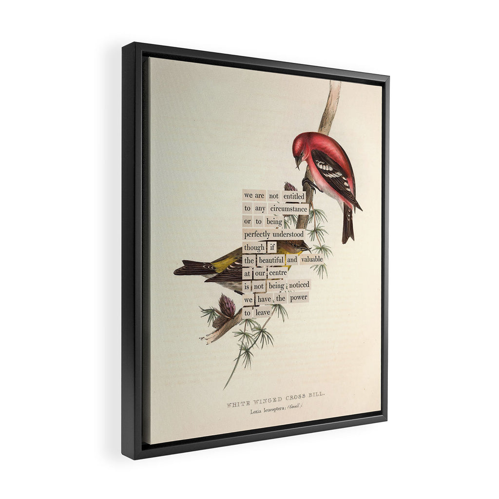 Bird Divinations: White-Winged Cross Bill (about: almanacofbirds.org) Framed Canvas Print Gallery Image 2