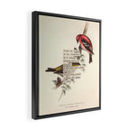 Bird Divinations: White-Winged Cross Bill (about: almanacofbirds.org) Framed Canvas Print Gallery Image 2