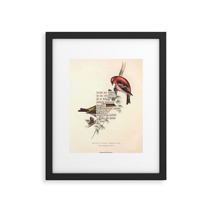 Bird Divinations: White-Winged Cross Bill (about: almanacofbirds.org) Framed Art Print Gallery Image 1