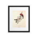 Bird Divinations: White-Winged Cross Bill (about: almanacofbirds.org) Framed Art Print Gallery Image 5