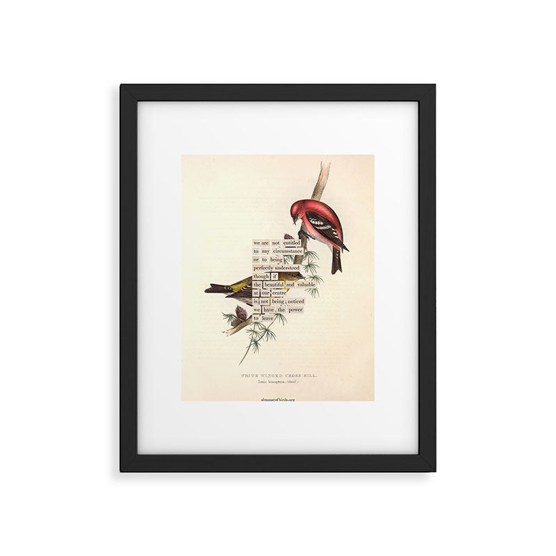 Bird Divinations: White-Winged Cross Bill (about: almanacofbirds.org) Framed Art Print Gallery Image 5