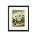 Bird Divinations: Whooping Crane (about: almanacofbirds.org) Framed Art Print Gallery Image 5
